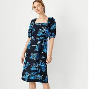 NWT! Ann Taylor Toile Dress, Size 10